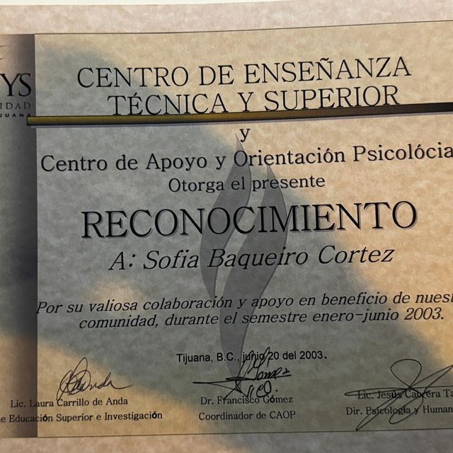 Ampliar imagen: certificate 10