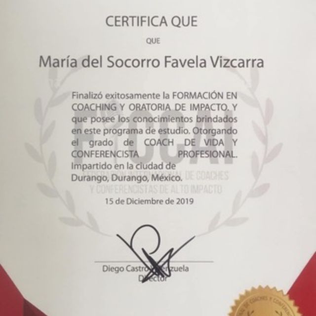 Ampliar imagen: certificate 6