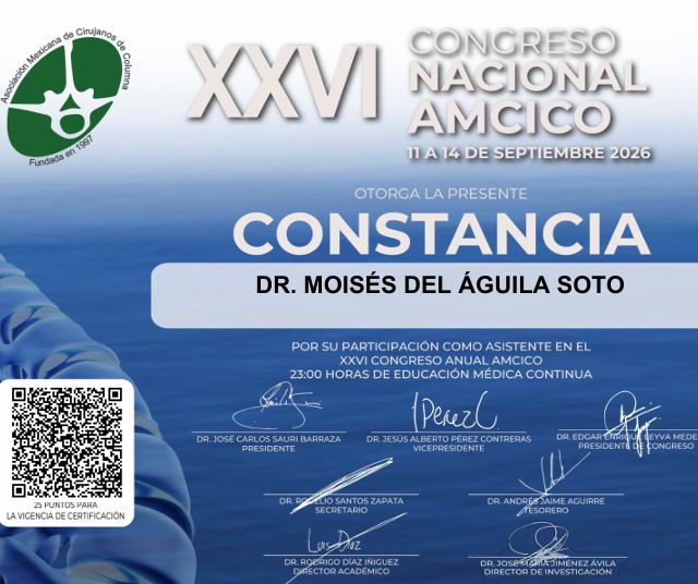Ampliar imagen: certificate 11