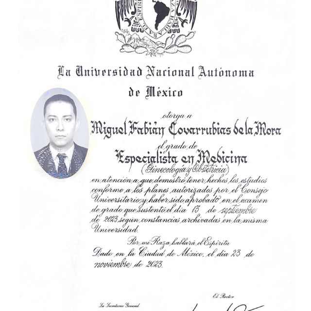 Ampliar imagen: certificate 1