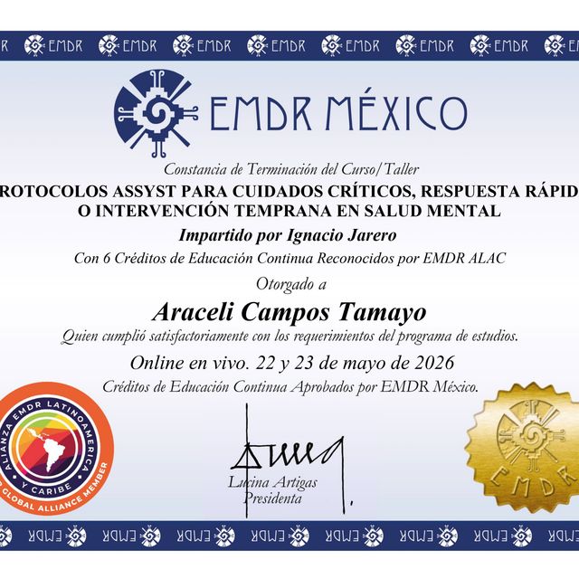 Ampliar imagen: certificate 1