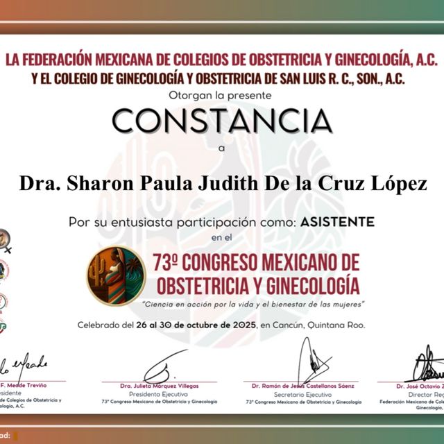 Ampliar imagen: certificate 21