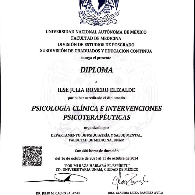 Ampliar imagen: certificate 5