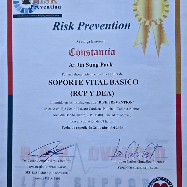 Ampliar imagen: certificate 4