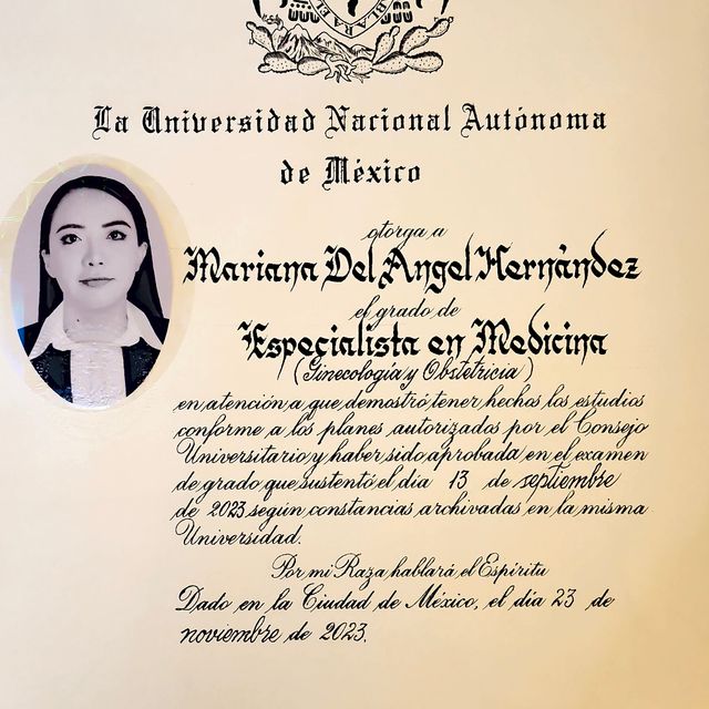 Ampliar imagen: certificate 1