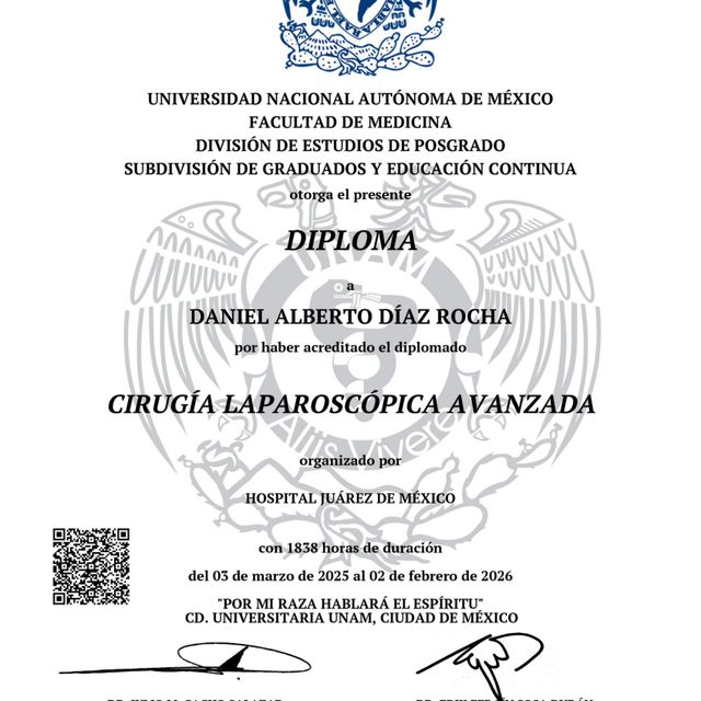 Ampliar imagen: certificate 8