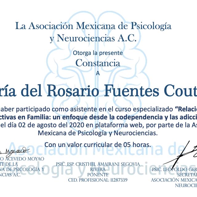 Ampliar imagen: certificate 1