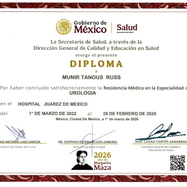 Ampliar imagen: certificate 6