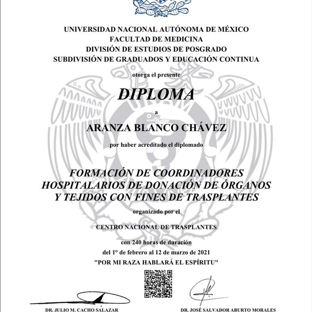Ampliar imagen: certificate 3