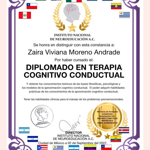 Ampliar imagen: certificate 4