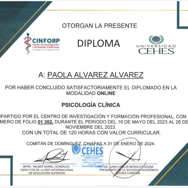 Ampliar imagen: certificate 6