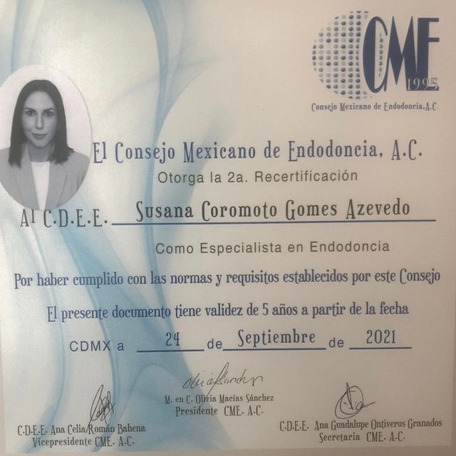 Ampliar imagen: certificate 4