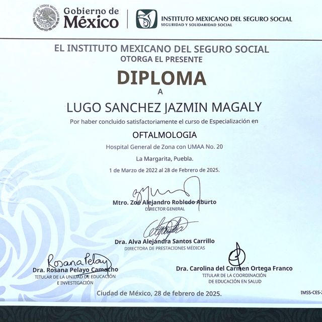 Ampliar imagen: certificate 2