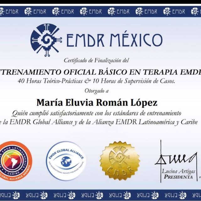 Ampliar imagen: certificate 5