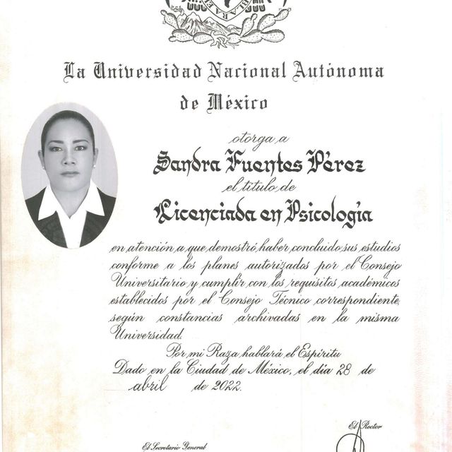 Ampliar imagen: certificate 2