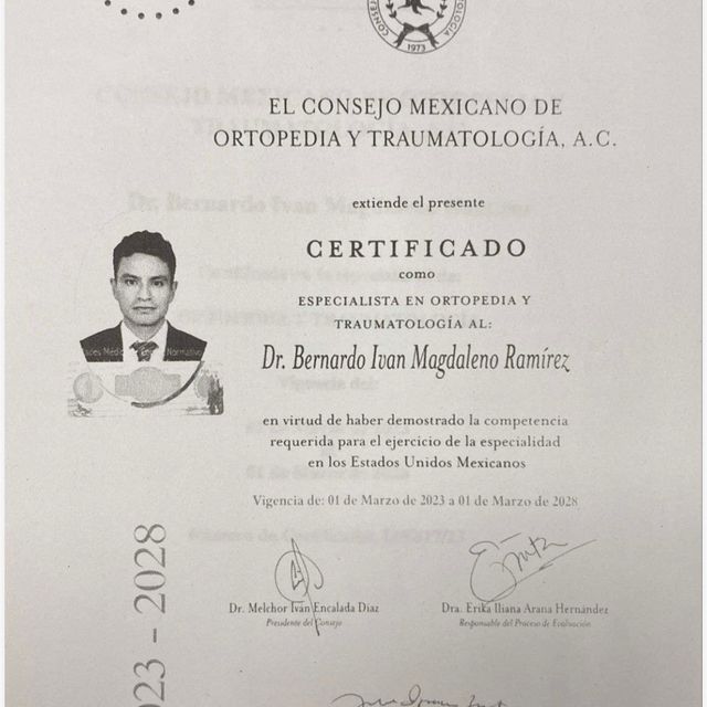 Ampliar imagen: certificate 1