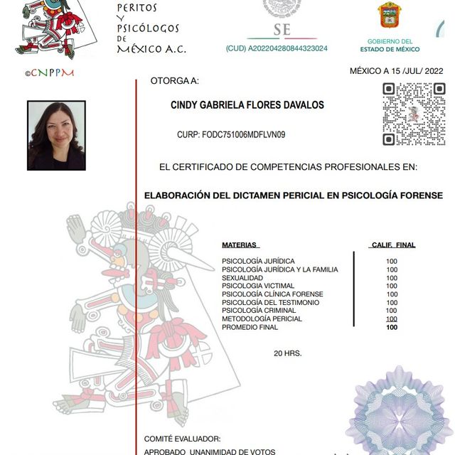Ampliar imagen: certificate 8