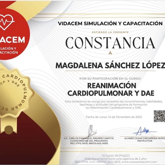 Ampliar imagen: certificate 1