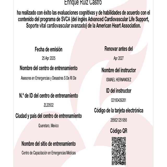 Ampliar imagen: certificate 3