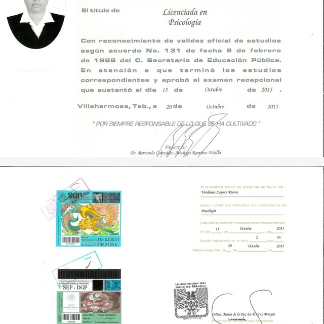 Ampliar imagen: certificate 2