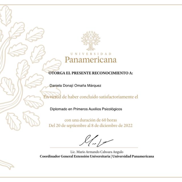Ampliar imagen: certificate 4
