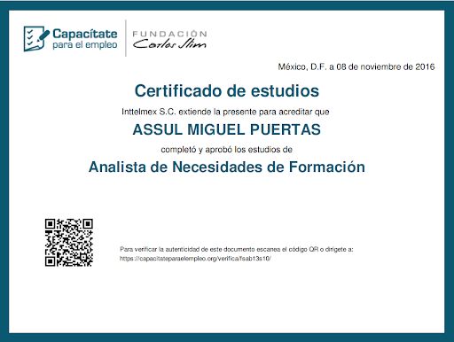 Ampliar imagen: certificate 8