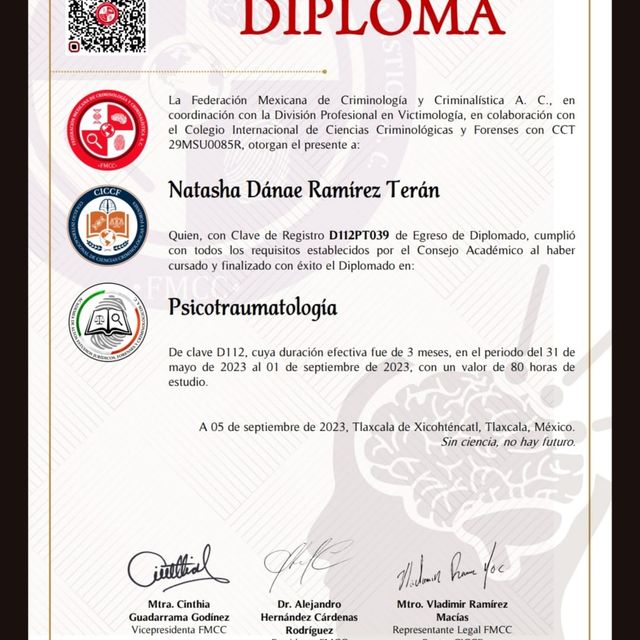 Ampliar imagen: certificate 3