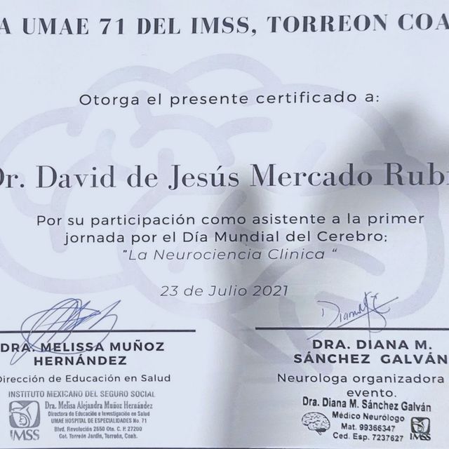 Ampliar imagen: certificate 5