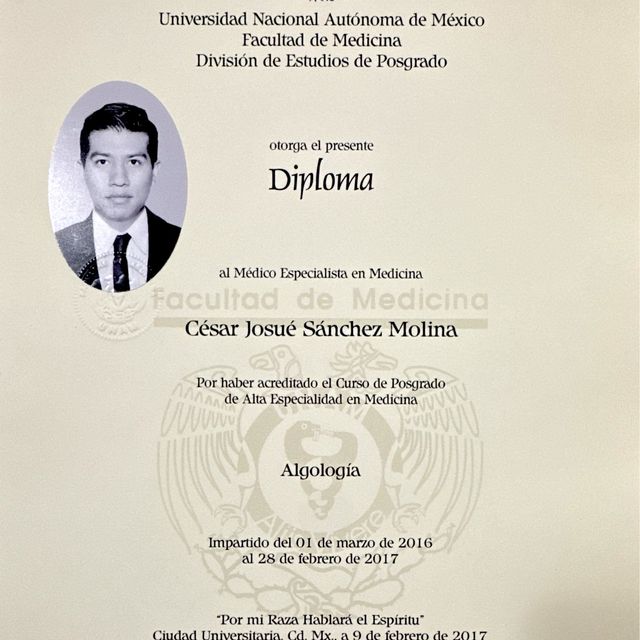 Ampliar imagen: certificate 3