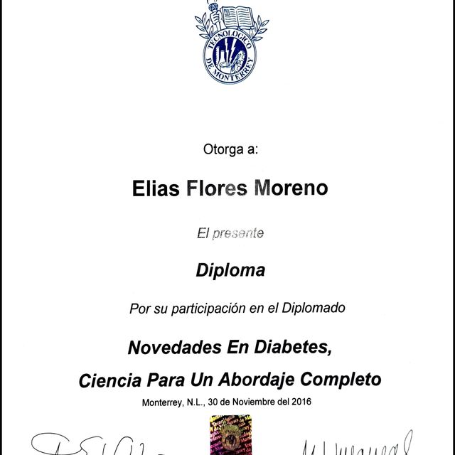 Ampliar imagen: certificate 7