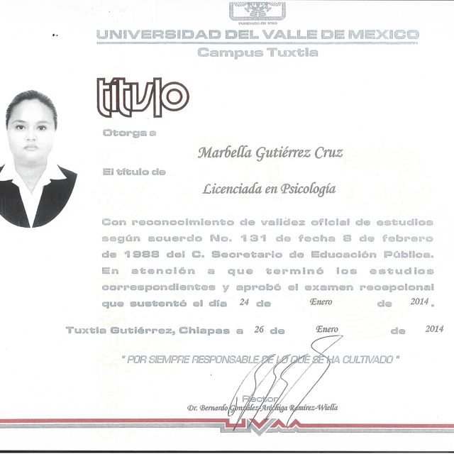 Ampliar imagen: certificate 2
