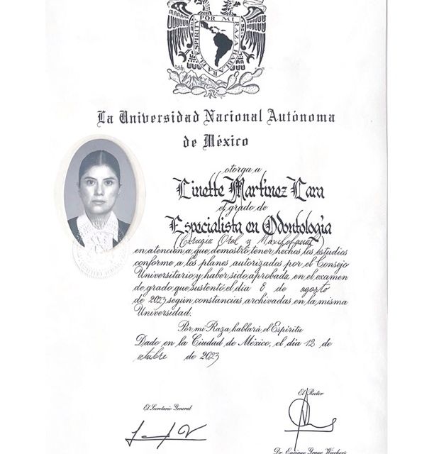 Ampliar imagen: certificate 3