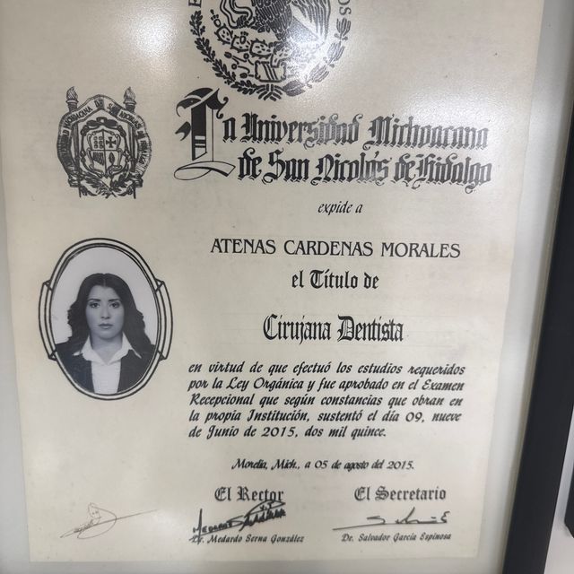 Ampliar imagen: certificate 3