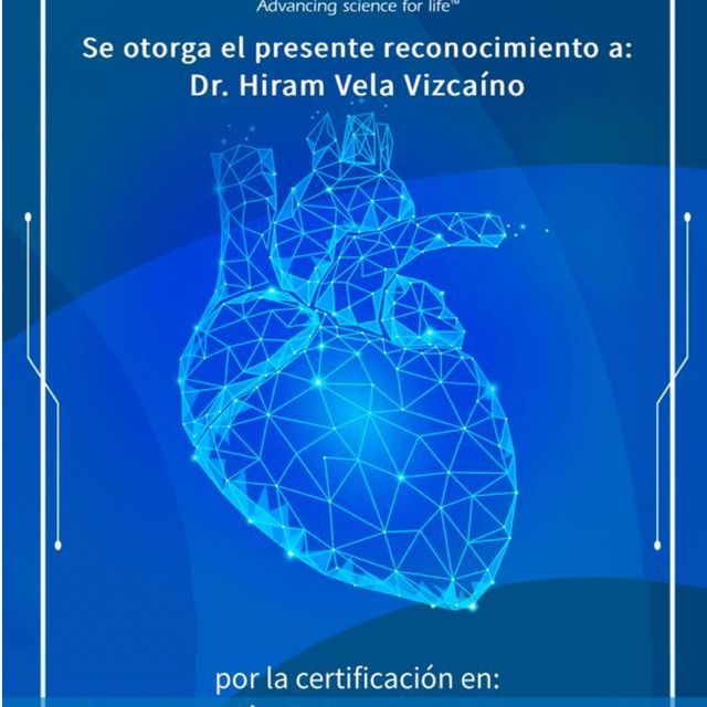 Ampliar imagen: certificate 8