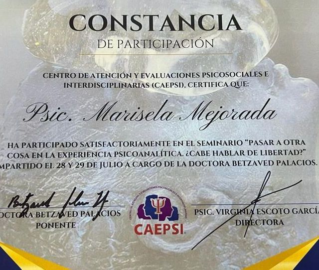 Ampliar imagen: certificate 5