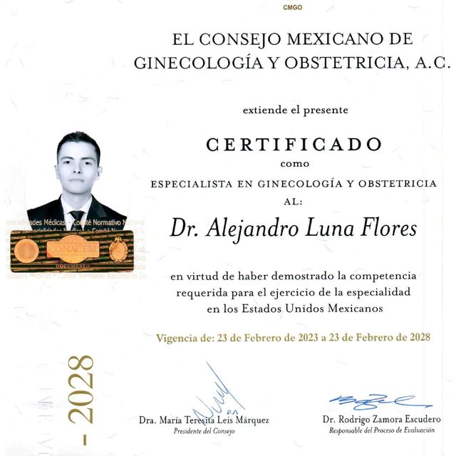 Ampliar imagen: certificate 1