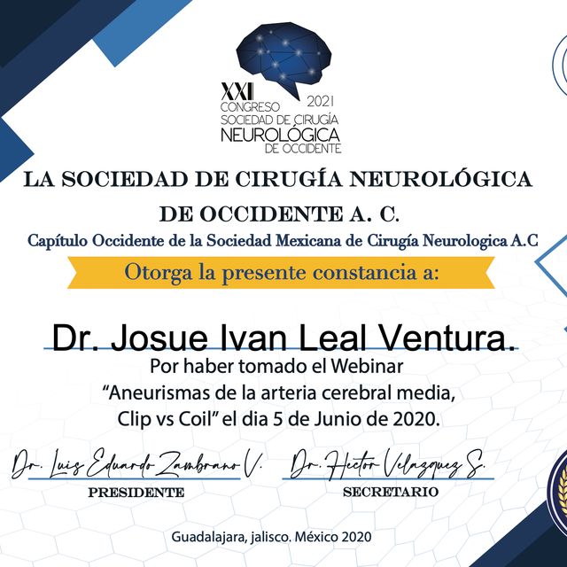 Ampliar imagen: certificate 11