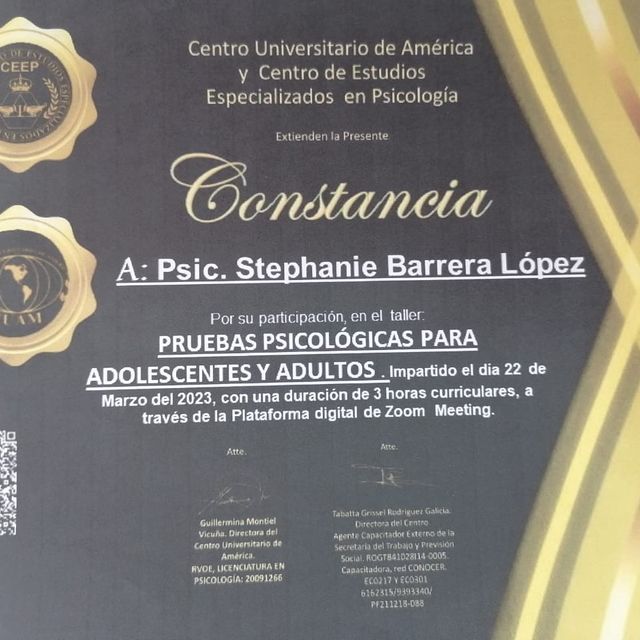 Ampliar imagen: certificate 26