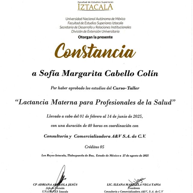 Ampliar imagen: certificate 2