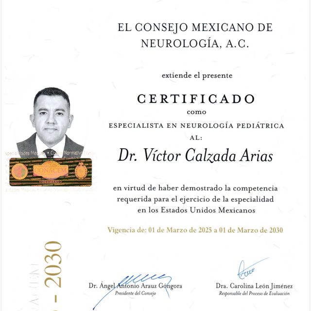 Ampliar imagen: certificate 2