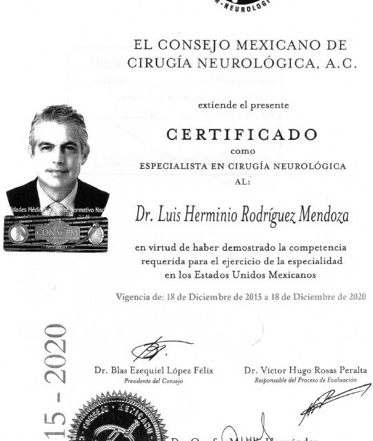 Ampliar imagen: certificate 1