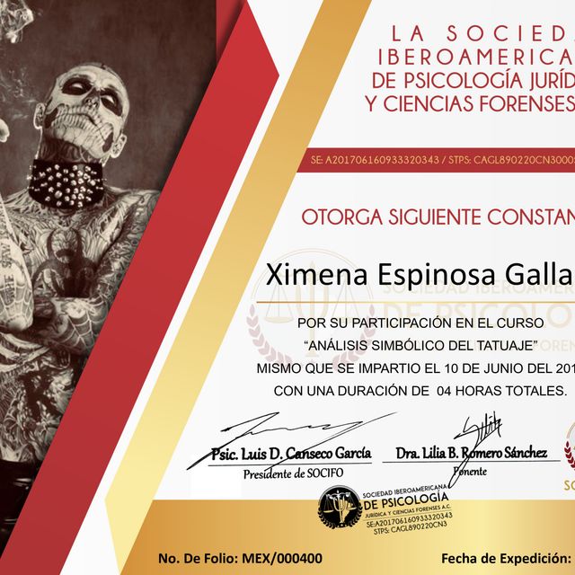 Ampliar imagen: certificate 3