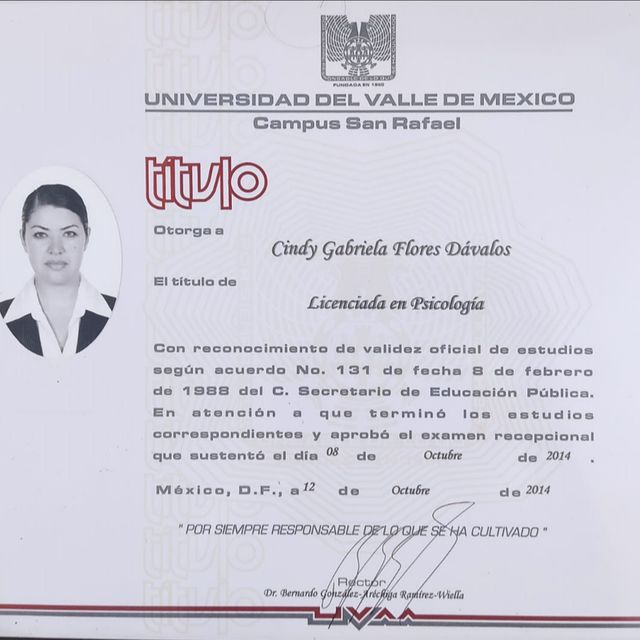 Ampliar imagen: certificate 1