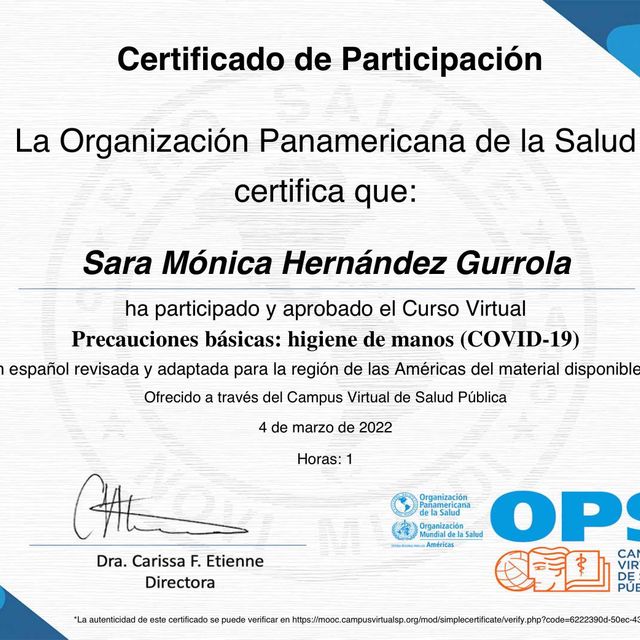 Ampliar imagen: certificate 7