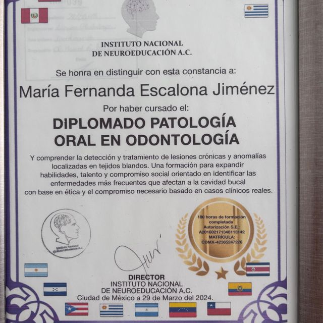 Ampliar imagen: certificate 4