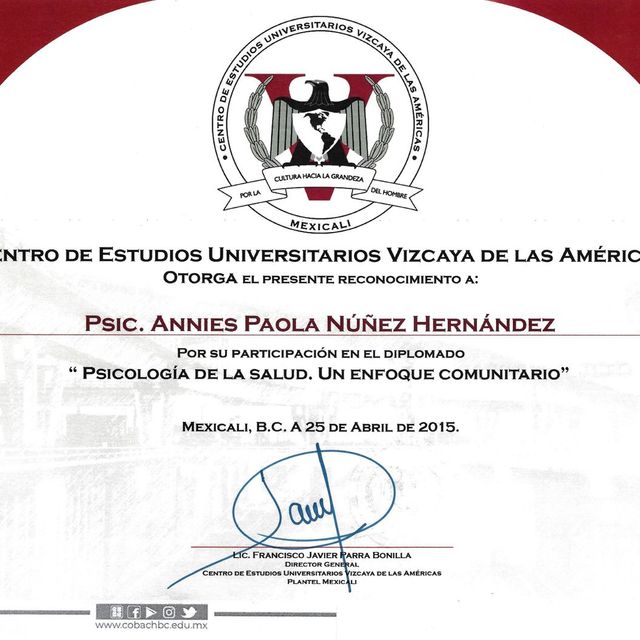 Ampliar imagen: certificate 1