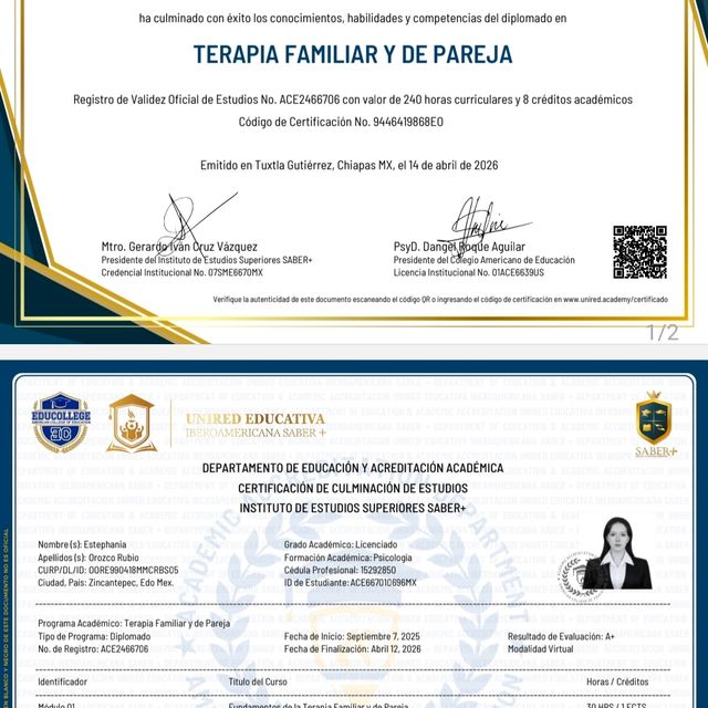 Ampliar imagen: certificate 6
