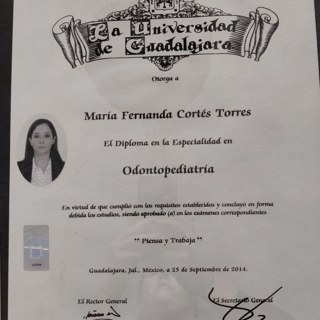 Ampliar imagen: certificate 2