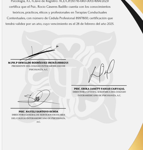 Ampliar imagen: certificate 3