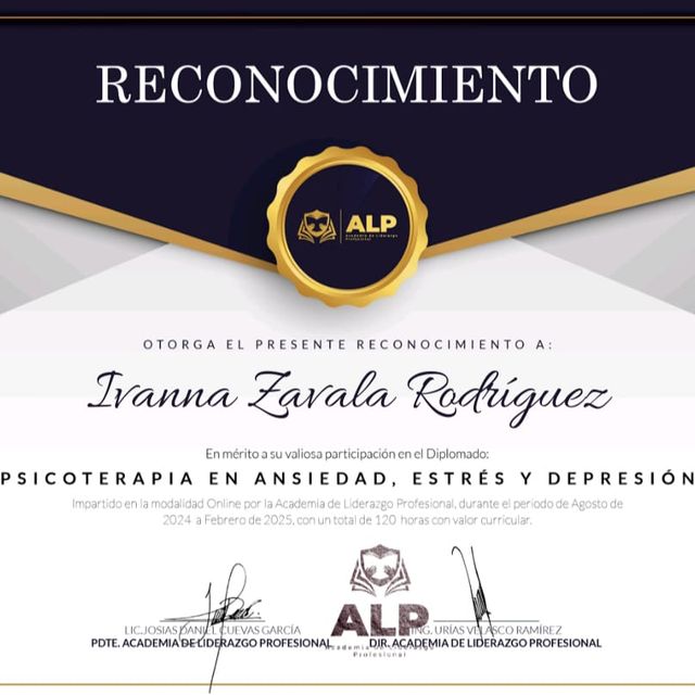 Ampliar imagen: certificate 3
